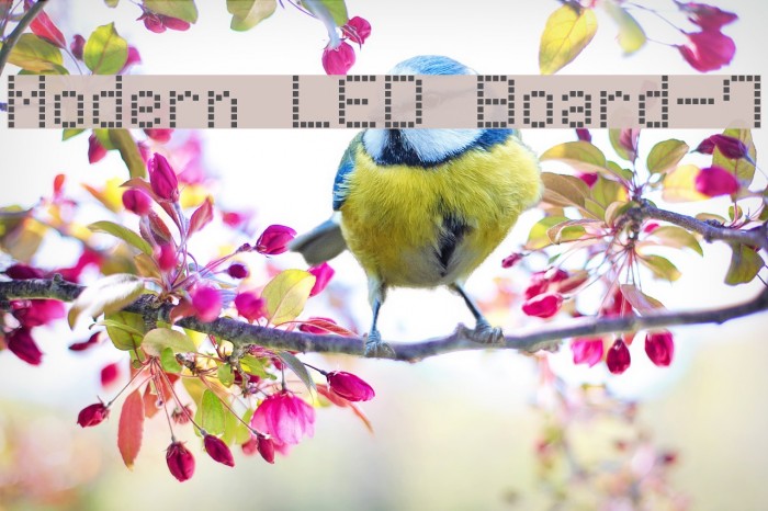 Modern LED Board-7 Example 1