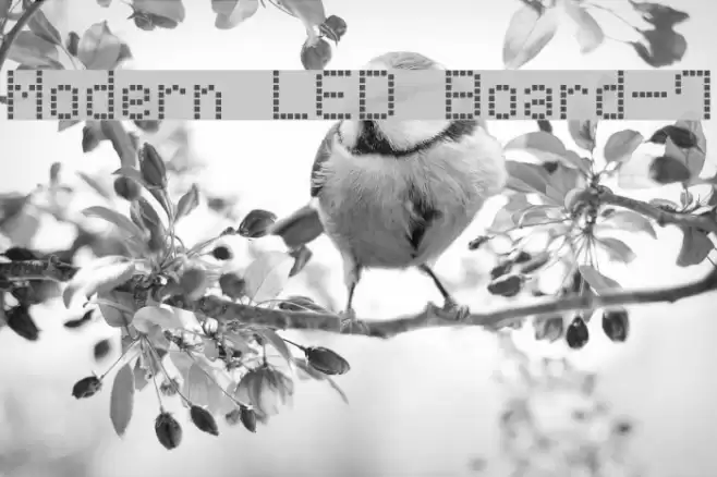 Modern LED Board-7 Font examples