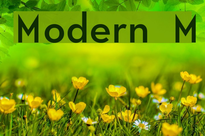 Modern M Font examples