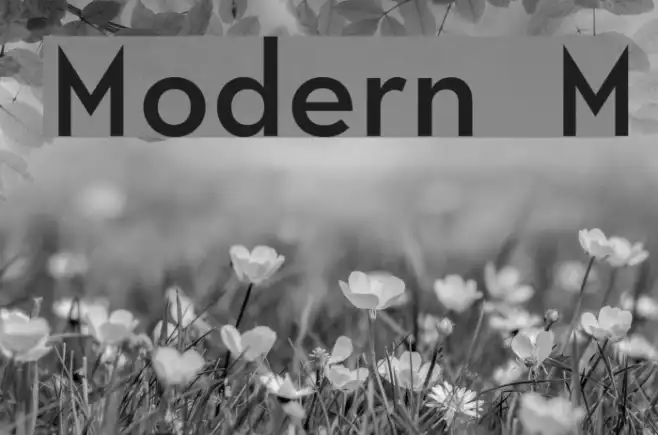 Modern M Example 3