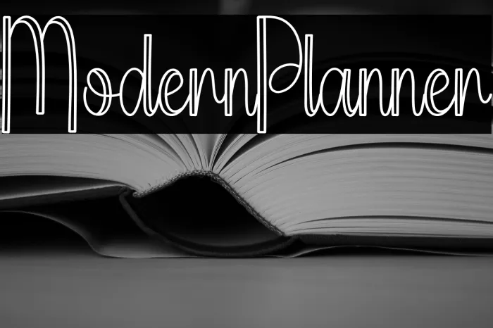 Modern Planner Example 2