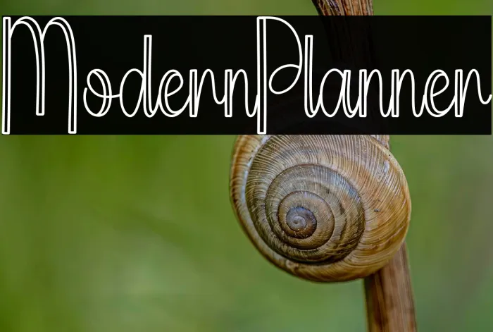 Modern Planner Example 3