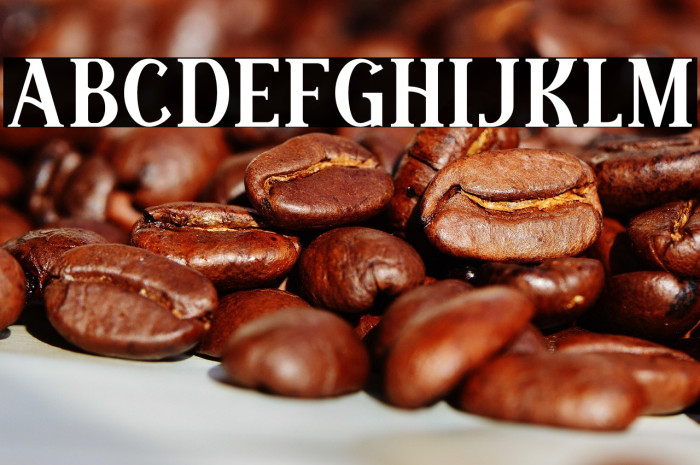 Modern Royale Example 2