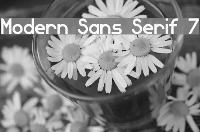 Modern Sans Serif 7 Font examples