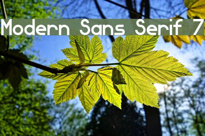 Modern Sans Serif 7 Fuentes examples