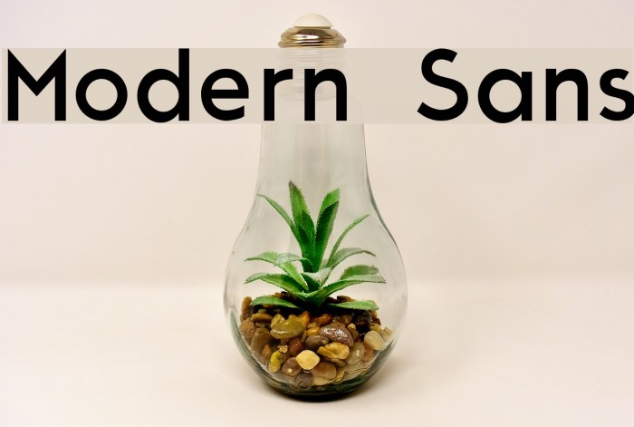 Modern Sans Example 1