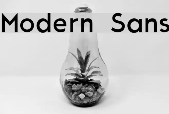 Modern Sans Example 1