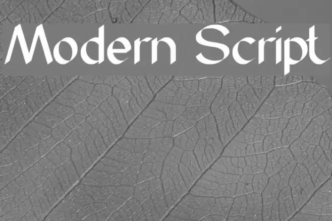 Modern Script Font examples