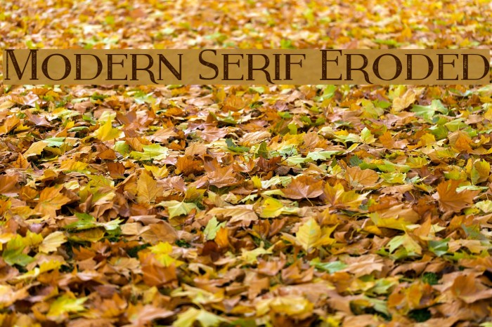 Modern Serif Eroded Font examples