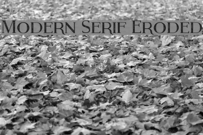 Modern Serif Eroded Example 2