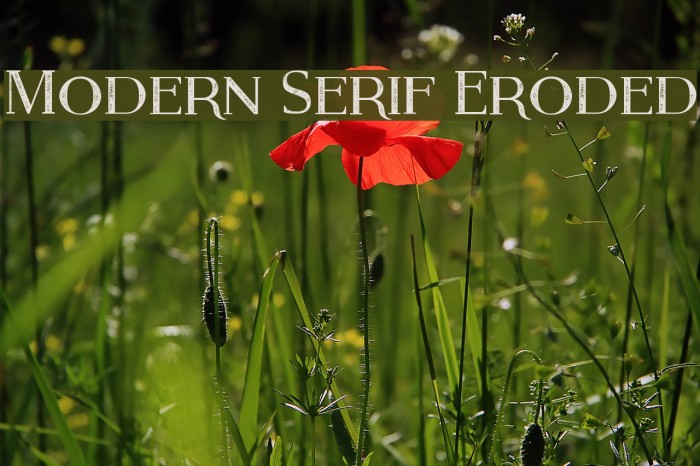 Modern Serif Eroded Font examples