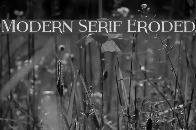 Modern Serif Eroded Example 3
