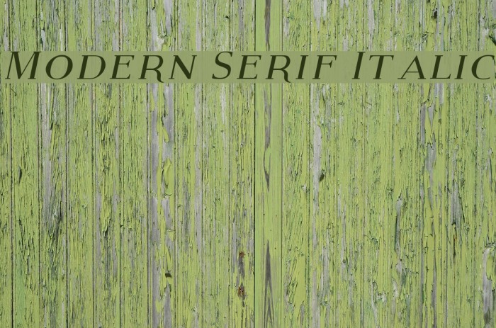 Modern Serif Italic Font examples