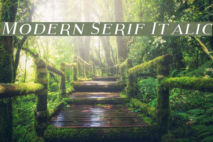 Modern Serif Italic Font examples