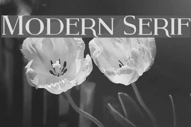 Modern Serif Font examples