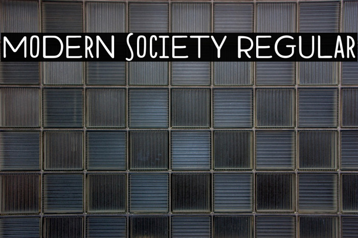 Modern Society Regular Example 2