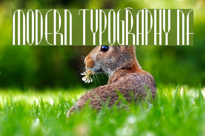 Modern Typography NF Font examples