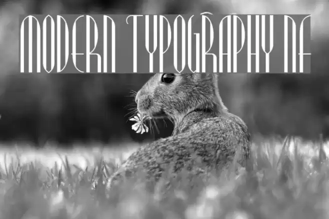 Modern Typography NF Шрифта examples