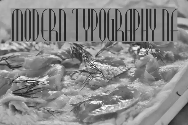 Modern Typography NF Шрифта examples