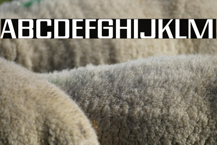 Modern Vision Regular Example 1