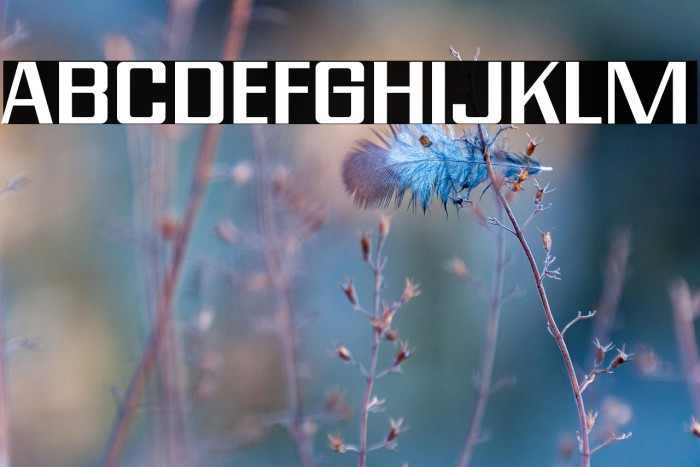 Modern Vision Regular Example 2