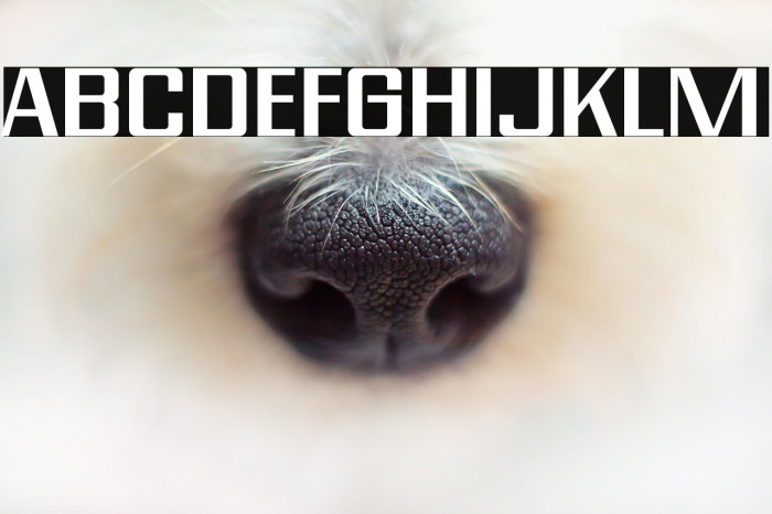 Modern Vision Regular Example 3