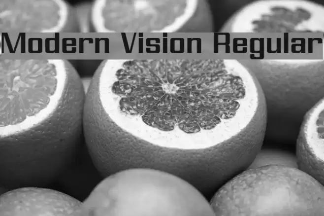 Modern Vision Regular フォント examples
