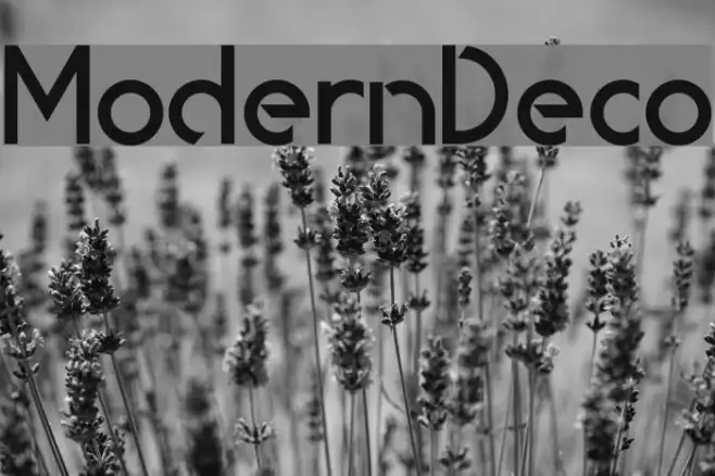 ModernDeco Example 1