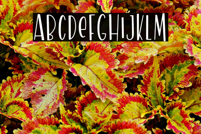 ModernLeaves Example 3