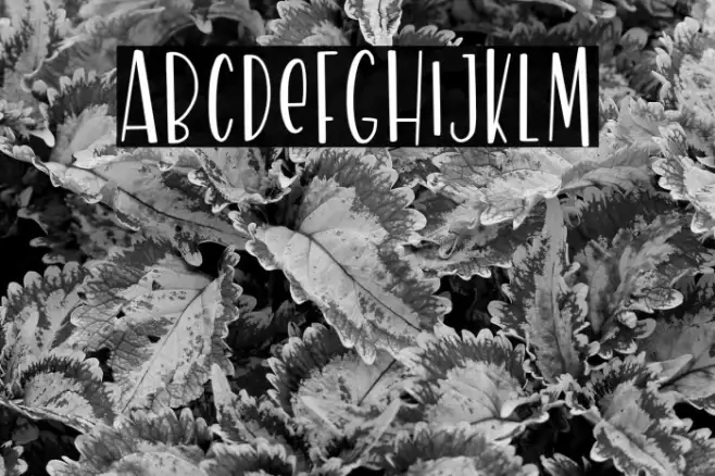 ModernLeaves Example 3