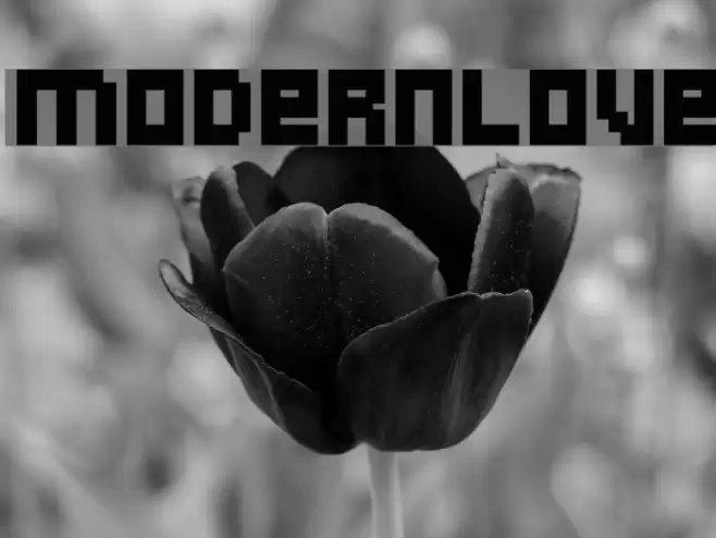 ModernLove Font examples
