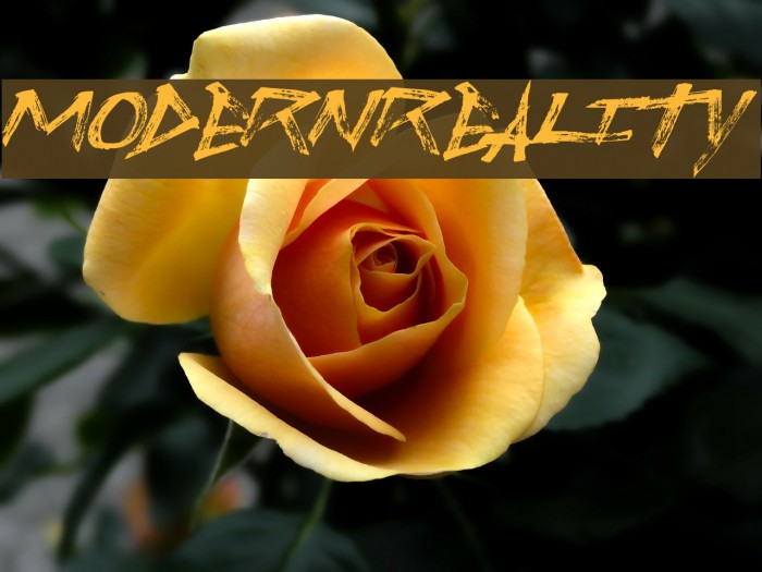 ModernReality Font examples