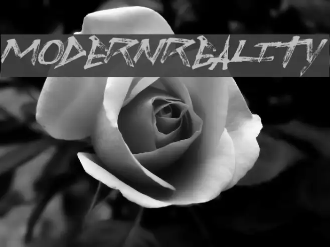ModernReality Example 2