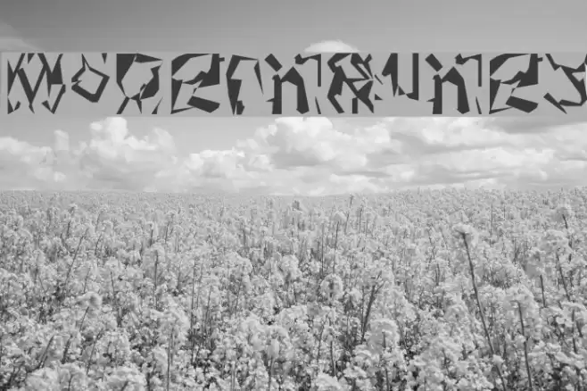 ModernRunes Font examples