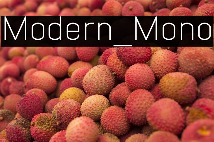 Modern_Mono Example 1