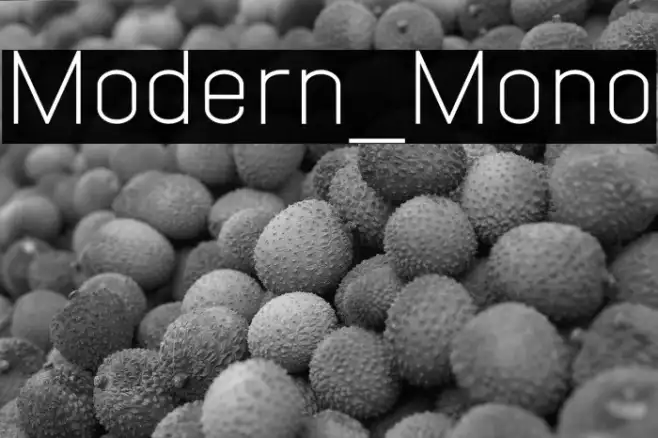 Modern_Mono Example 1