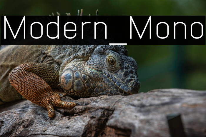 Modern_Mono Example 2