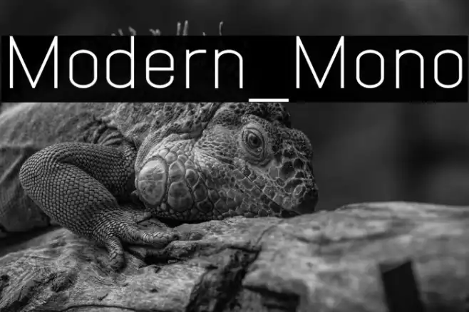 Modern_Mono Example 2