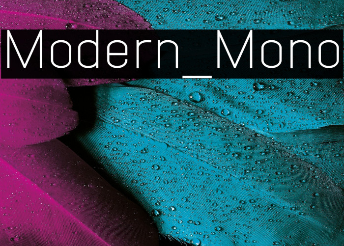 Modern_Mono Example 3