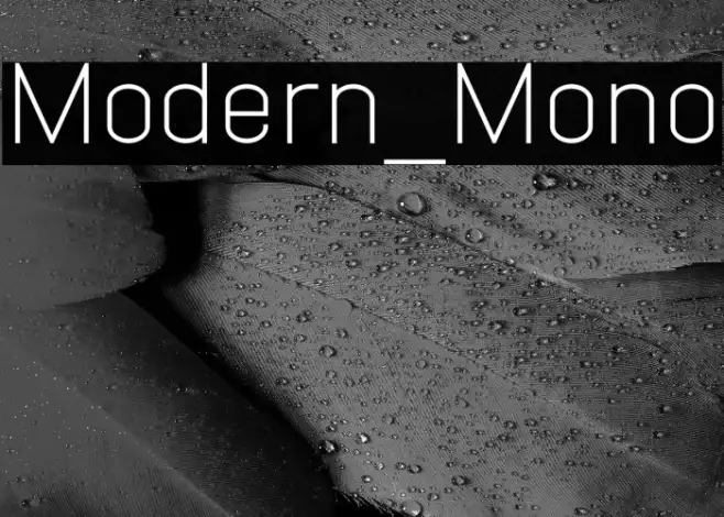 Modern_Mono Example 3