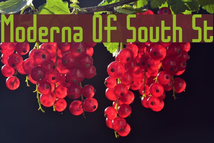 Moderna Of South St Example 1