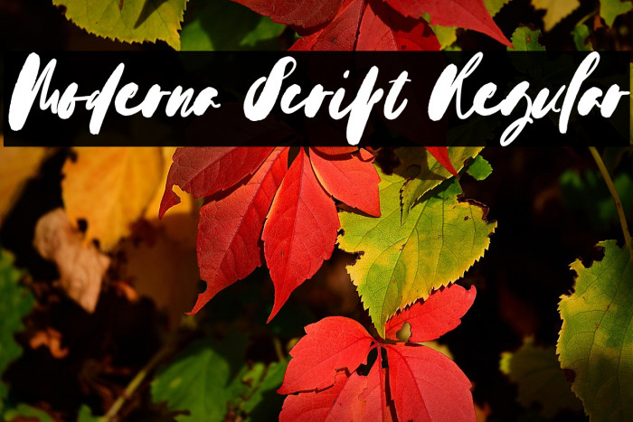 Moderna Script Regular Example 2