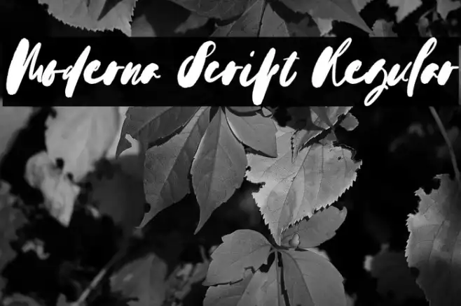 Moderna Script Regular Example 2