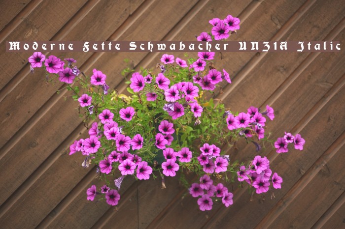 Moderne Fette Schwabacher UNZ1A Italic フォント examples