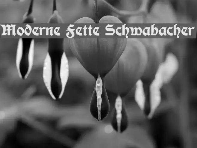 Moderne Fette Schwabacher Fuentes examples