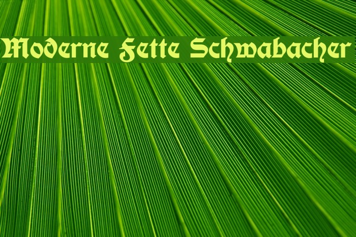Moderne Fette Schwabacher Fuentes examples