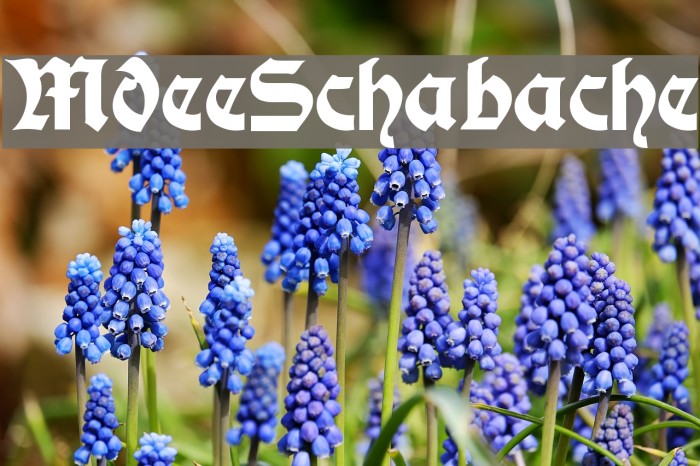 ModerneSchwabacher Font examples
