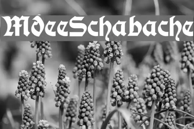 ModerneSchwabacher Example 2