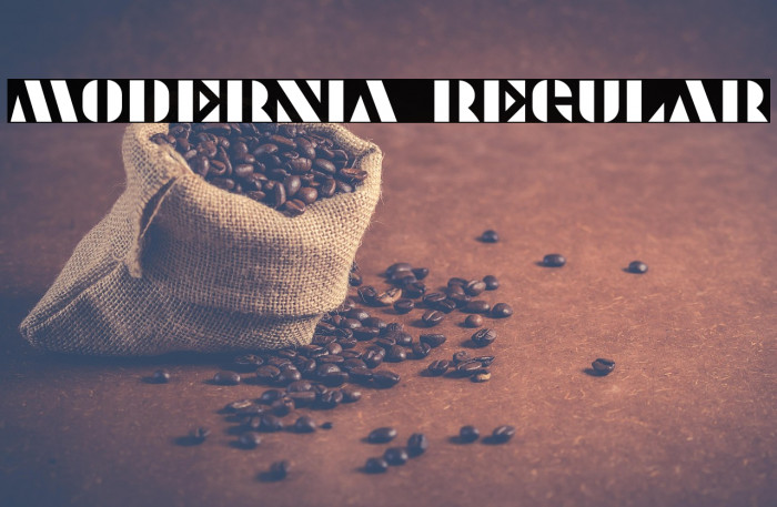 Modernia Regular Example 2