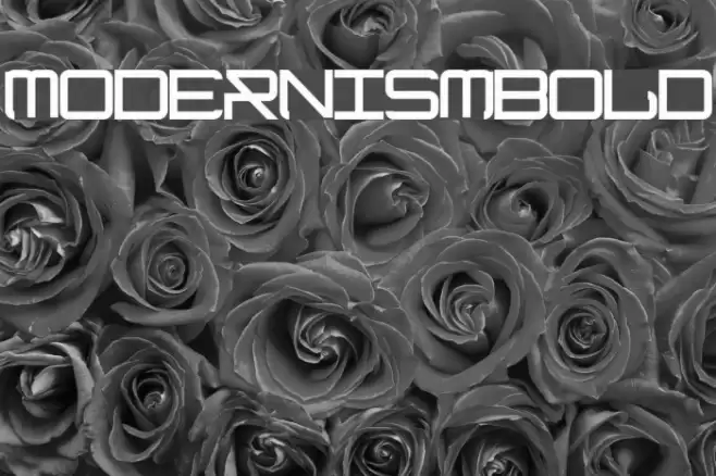 ModernismBold Font examples